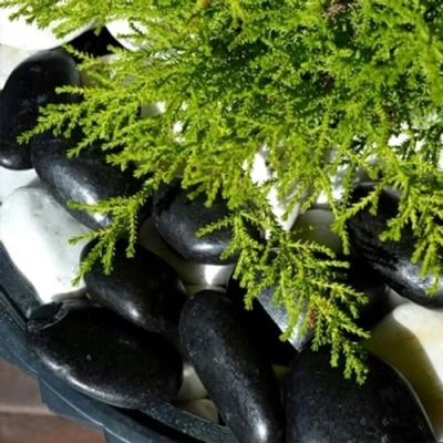 Afbeelding van VELLES Zwarte stenen, kiezelstenen, decoratieve zwart, grind, decoratie, aquariumstenen om te knutselen, siergrinden, tuinstenen, grote tuindecoratie, steen, groot (zwart)