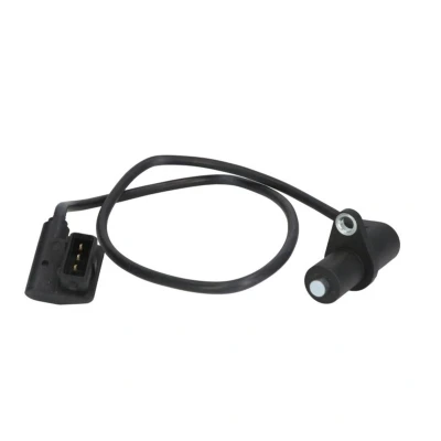 Afbeelding van Nokkenassensor DELPHI SS10965