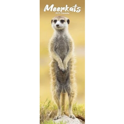Afbeelding van Meerkats Erdmännchen 2025: Original Avonside Kalender Slimline [Mehrsprachig] [Kalender]