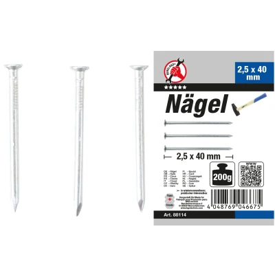 Afbeelding van BGS Nagel assortiment 200 gram 2,5 x 40 mm