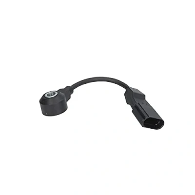 Afbeelding van Delphi Diesel Klopsensor AS10191