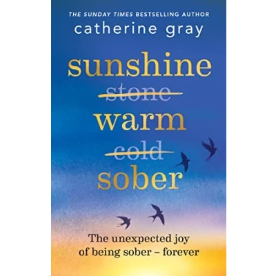 Afbeelding van Sunshine Warm Sober: The unexpected joy of being sober forever
