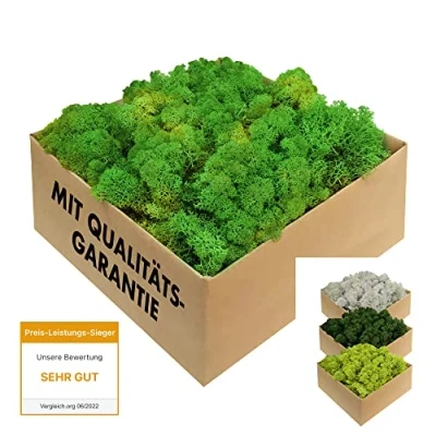 Afbeelding van GJS Gestabiliseerd mos, echt decoratief natuurlijk levend geconserveerd (kunstmatige Slandse vlechten), verschillende kleuren, voor decoratie, modelbouw, terrarium, muur (200 g, bladgroen)