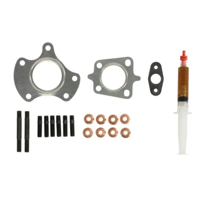 Afbeelding van Turbocharger, montageset EVORON EVMK0176