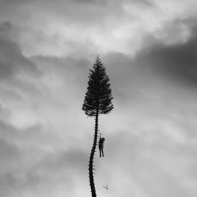 Afbeelding van Manchester Orchestra A Black Mile To the Surface (2 LPs)