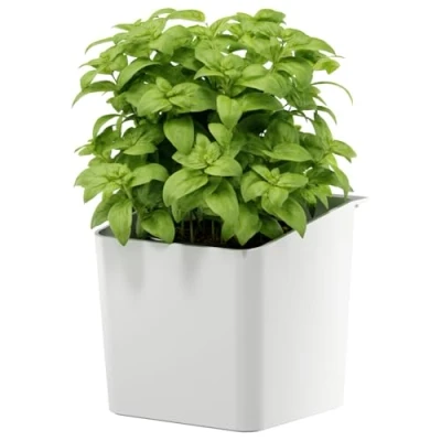Afbeelding van tesa Keukenaccessoire Kruidenpot Zelfklevende, Hangende Bloempot voor Verse Kruiden in de Keuken Met Adapter, Wandmontage zonder Boren Wit