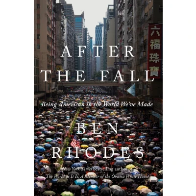 Afbeelding van After the Fall: Being American in World We&#039;ve Made