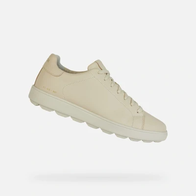 Afbeelding van Geox U Spherica ECUB Sneakers laag, Heren, Maat: 39, Light sand Leer