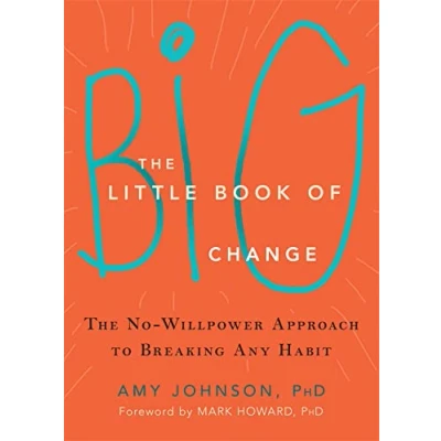 Afbeelding van The Little Book of Big Change: No Willpower Approach to Breaking Any Habit