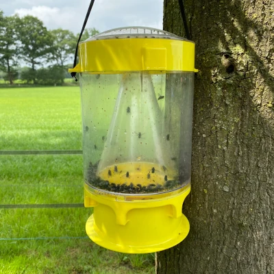 Afbeelding van Flynip vliegenval xl