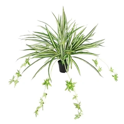 Afbeelding van Kunstmatige kamerplant, groene lelie in pot, chlorophytum, waterlelie, spinnenplant, spinnenlelie, hangplant, kunstplant, hangende plastic plant,