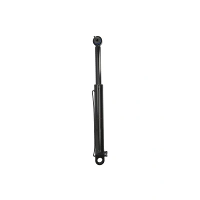Afbeelding van FEBI BILSTEIN 106117 Kantelcilinder, cabine