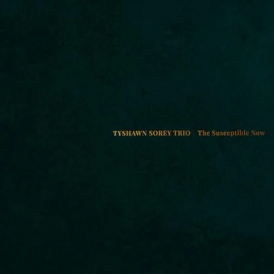Afbeelding van Tyshawn Sorey The Susceptible Now (2 LPs)