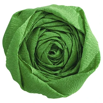 Afbeelding van Clairefontaine 903021C verpakking met 10 vellen crêpepapier, 2,5 x 0,5 m, ideaal voor creatieve hobby&#039;s, 1 verpakking, groen