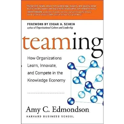 Afbeelding van Teaming: How Organizations Learn, Innovate, and Compete in the Knowledge Economy