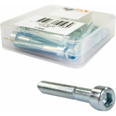 Afbeelding van Bofix Inbusbout M6 x 40 RVS (12 stuks)