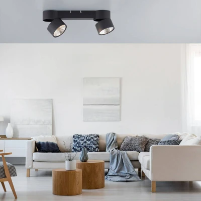 Afbeelding van Paul Neuhaus Plafondlamp Pure Nola 2 lichts zwart 6452 18