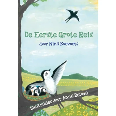 Afbeelding van De eerste grote reis (Hardback)
