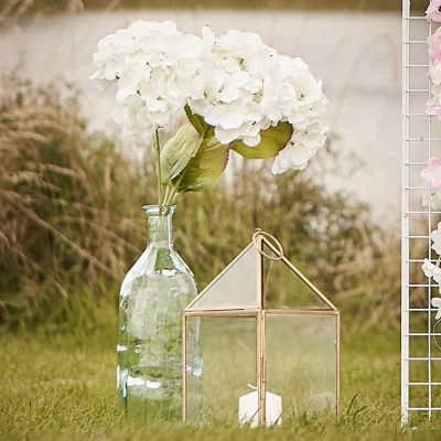 Afbeelding van Witte Hortensia 3 stuks
