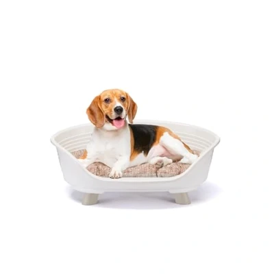 Afbeelding van Ferplast hondenbed &amp; kattenbed met katoenen kussen, verhoogd hondenbed, kunststof medium, wasbaar, hondenmand, ademend en antislip, THRONE 70,5 x 52 h 28,5 cm, wit
