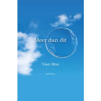 Afbeelding van Meer dan dit (Paperback)