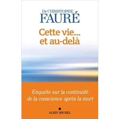 Afbeelding van Cette vie... et au delà: Enquête sur la continuité de conscience après mort