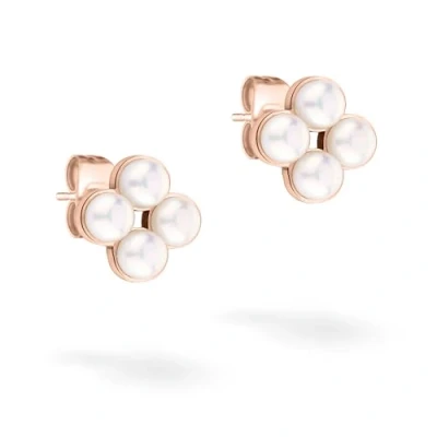 Afbeelding van Tamaris Oorbellen Rose goldcoloured, Dames, Maat: One Size, gold coloured