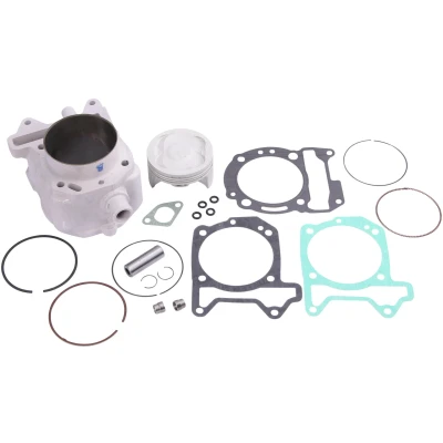 Afbeelding van MALOSSI cylinder sets sport 218ccm