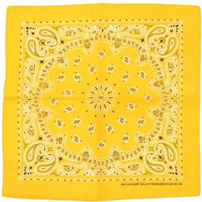 Afbeelding van Zac&#039;s Alter Ego Alternative paisley Bandana Oranje