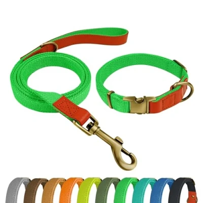 Afbeelding van Qianruida hondenhalsband en riem, set voor honden, halsband verstelbare kleine, middelgrote grote neongroen, M