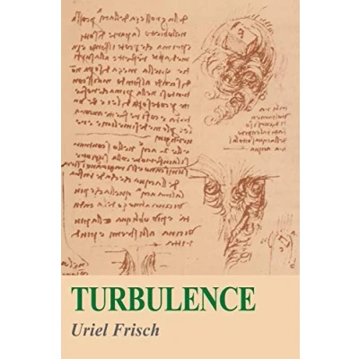 Afbeelding van Turbulence: The Legacy of A. N. Kolmogorov