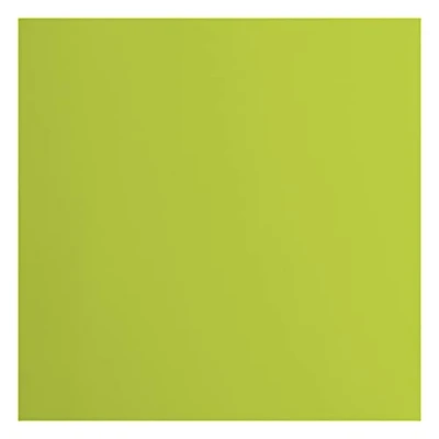 Afbeelding van Vaessen Creative Florence Cardstock papier, groen, 216 g/m², vierkant, 30,5 x cm, 20 stuks, glad, voor scrapbooking, kaarten maken, ponsen en ander papierknutselwerk