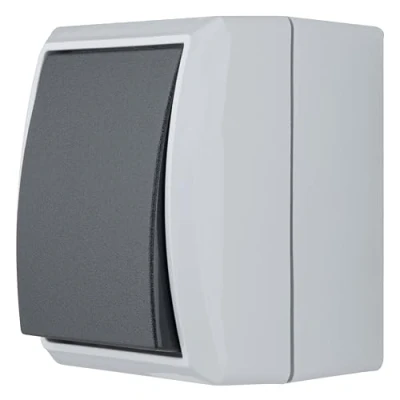 Afbeelding van REV 0510295777 AquaForm, kruisschakelaar schakelaar voor vochtige ruimtes IP44, eenpolig, opbouw, grijs