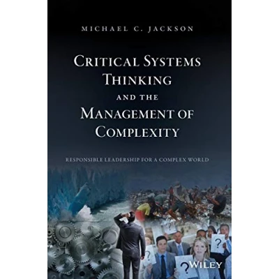 Afbeelding van Critical Systems Thinking and the Management of Complexity