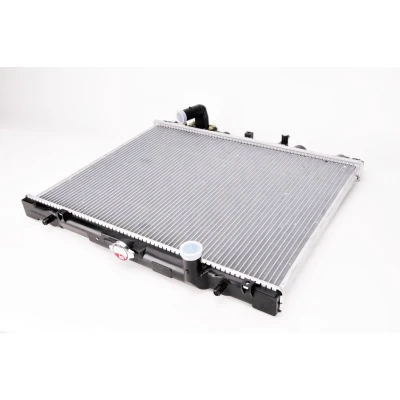 Afbeelding van Thermotec Radiateur D75010TT