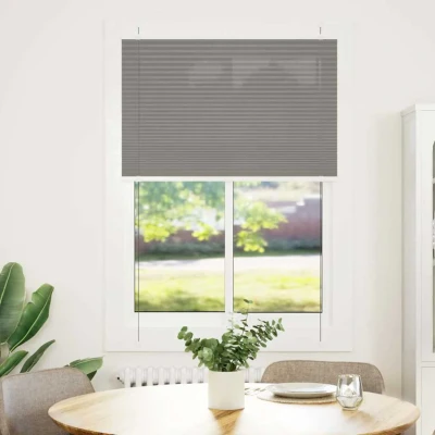 Afbeelding van vidaXL Plissé rolgordijn 100x100 cm stofbreedte 99,4 antraciet