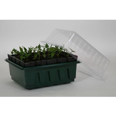 Afbeelding van Kweektray Compact Rapid Rootrainers