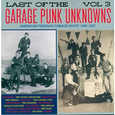 Afbeelding van V/A Last of the Garage Punk Unknowns 3 (LP)