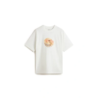 Afbeelding van Vans Caked Tshirt print, Heren, Maat: Large, White