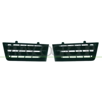 Afbeelding van Radiateurgrille PRASCO RN4202000