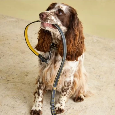 Afbeelding van Rosewood Joules Navy lederen hond kraag lood, een maat, marineblauw, 0.12 kg