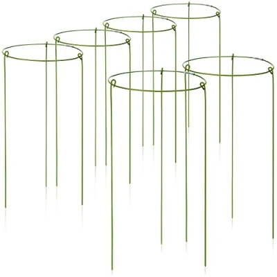 Afbeelding van COM FOUR® 6x bloemen en vaste plantenhouder 28cm ronde struikhouder voor bloemen, ranken planten Ø 14 cm