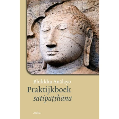 Afbeelding van Praktijkboek satipatthana