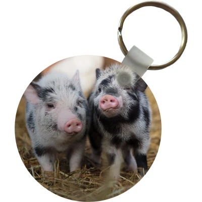 Afbeelding van Sleutelhanger Varken Dieren Varkentje Plastic Rond Uitdeelcadeautjes