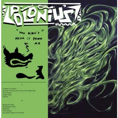 Afbeelding van Polonius You Didn&#039;t Hear It From Me (LP)