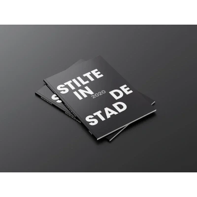 Afbeelding van Stilte in de stad (Hardback)