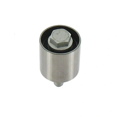 Afbeelding van Skf Geleiderol distributieriem VKM 25124