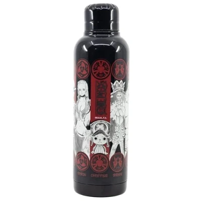 Afbeelding van Stainless Steel Bottle One Piece Crew 515Ml