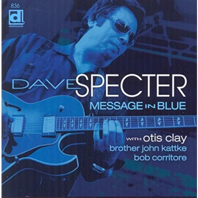 Afbeelding van Dave Specter Message In Blue (CD)