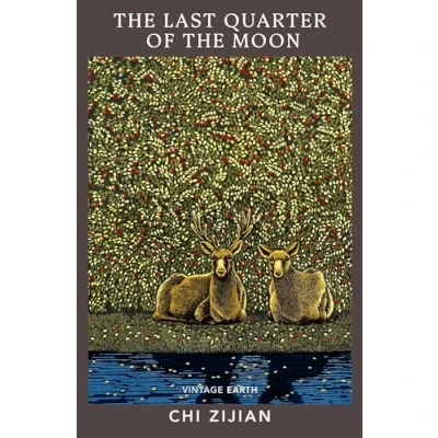 Afbeelding van the Last Quarter of Moon: A novel from Vintage Earth collection